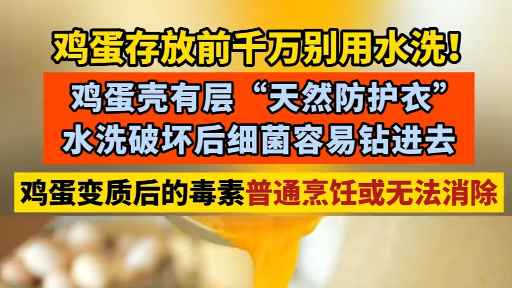 鸡蛋存放前千万别用水洗！鸡蛋壳有层“天然防护衣”
