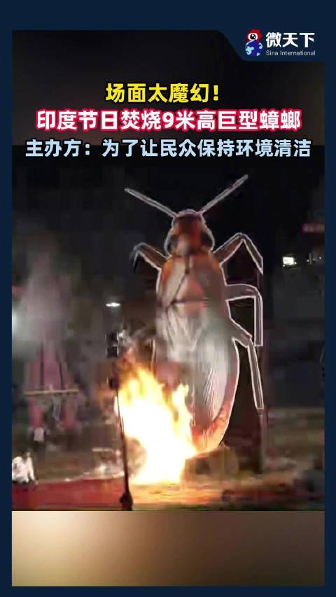 场面太魔幻！#印度节日焚烧9米高巨型蟑螂模型#，主办方：为了让民众保持环境清洁  ​​​