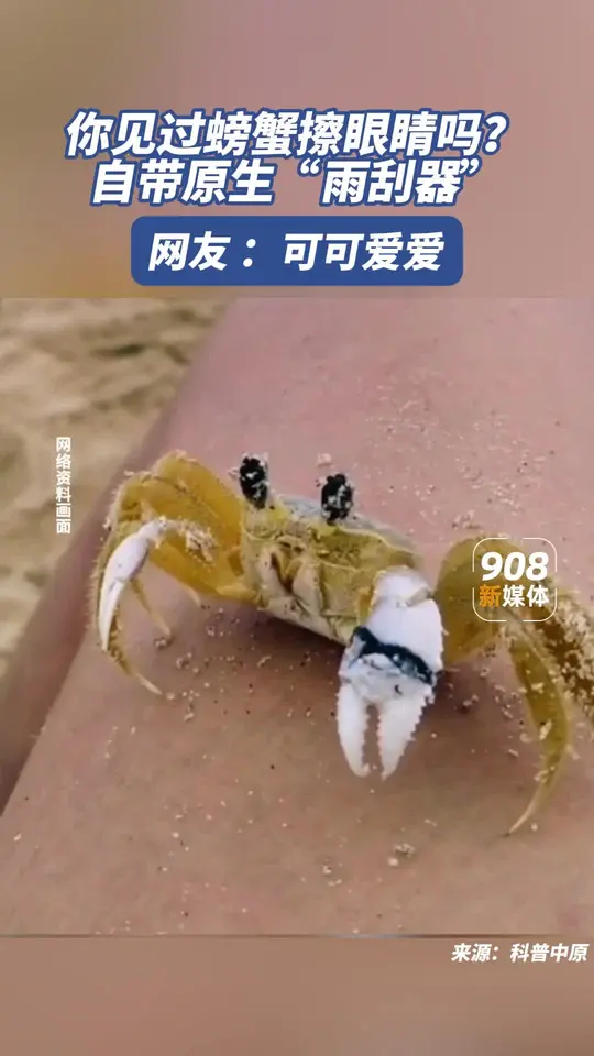 你见过螃蟹擦眼睛吗？