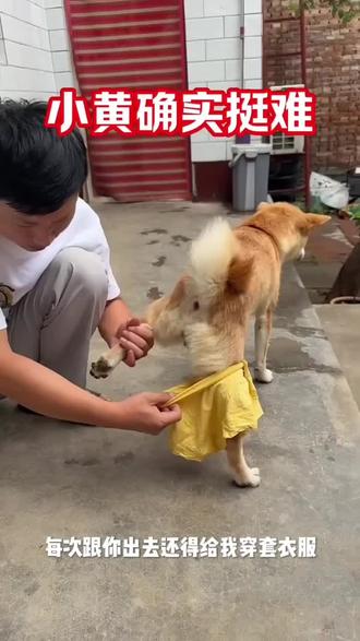 小黄确实挺难的