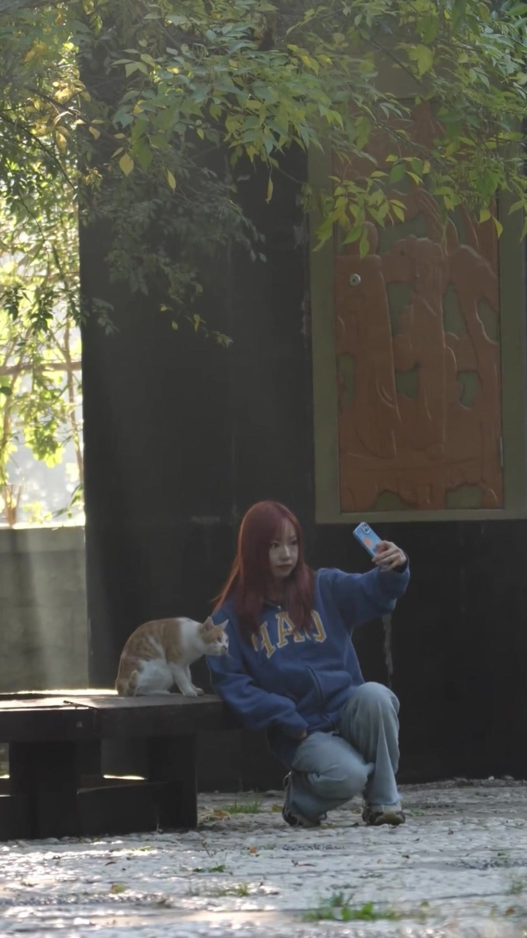 猫猫和小姐姐拍照，全程弯着腰配合，猫：拍完就走？不摸两手？
