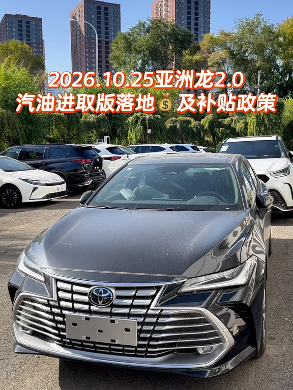 2026.10.25亚洲龙2.0汽油进取版落地💰及补