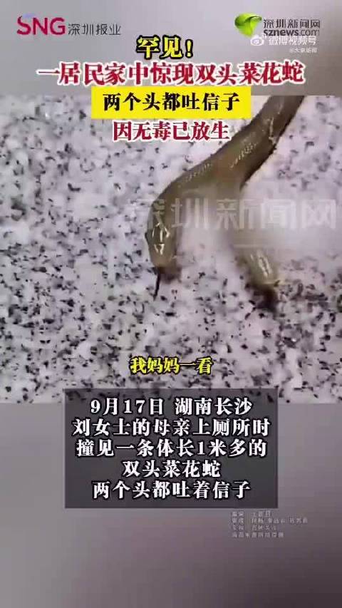 【#女子家中上厕所撞见双头蛇#】#女儿回应母亲淡定放生双头蛇# 9月17日，湖南长沙。刘女士的母亲上