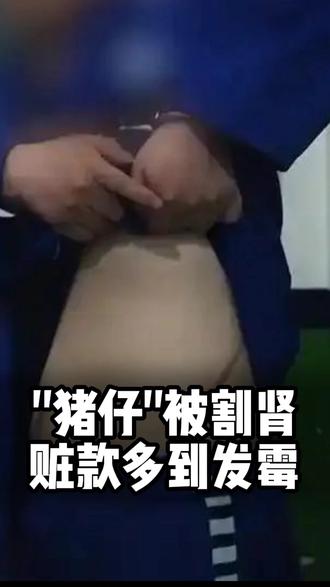 缅北电诈覆灭纪实
