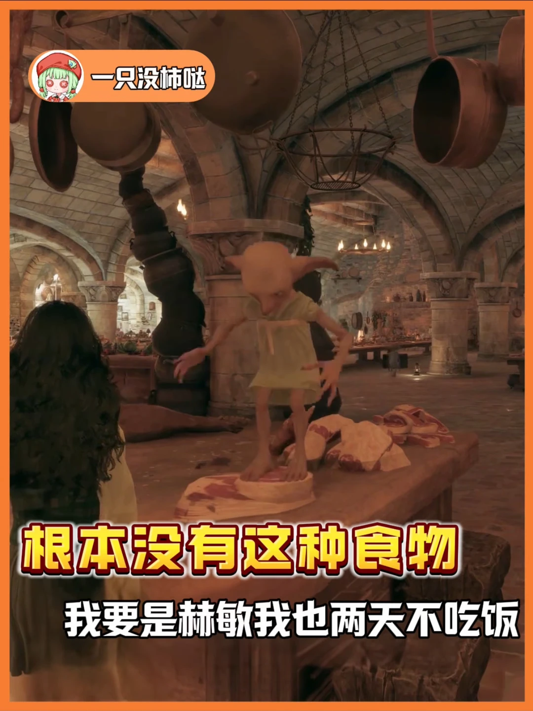 家养小精灵做法会不会有点太卫生了