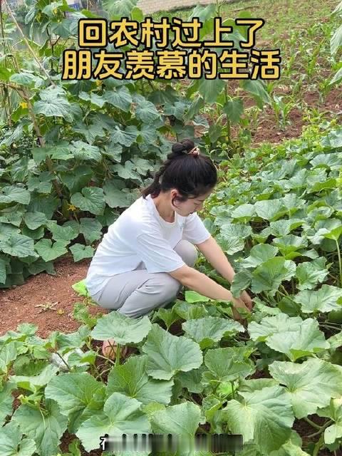 满园瓜果蔬菜环绕，我内心洋溢着纯粹的喜悦