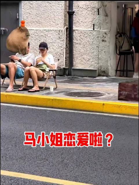 #疑似马伊琍恋情# 网友上海街头偶遇，疑似拍到马伊琍和一位圈外中年男士街边喝咖啡。两人穿搭随性休闲，