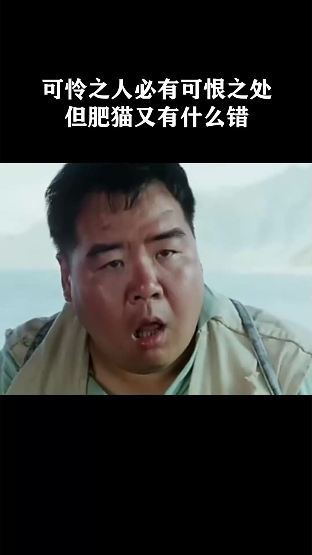 可怜之人必有可恨之处，但肥猫又有什么错《肥猫流浪记》