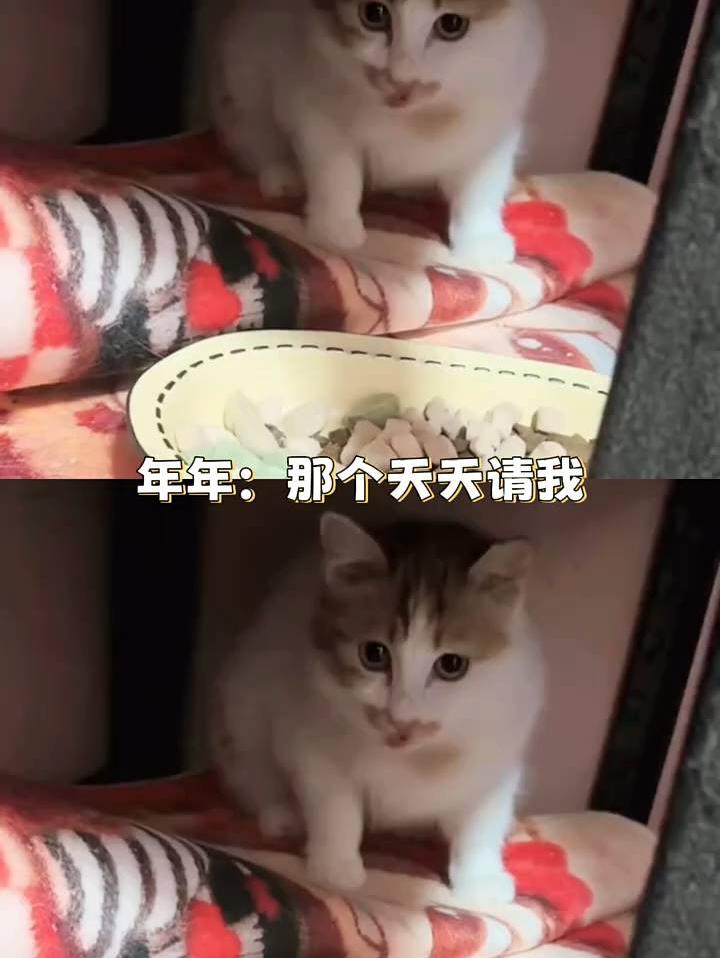 咪好人也好 我上网就是来看这样的故事的…