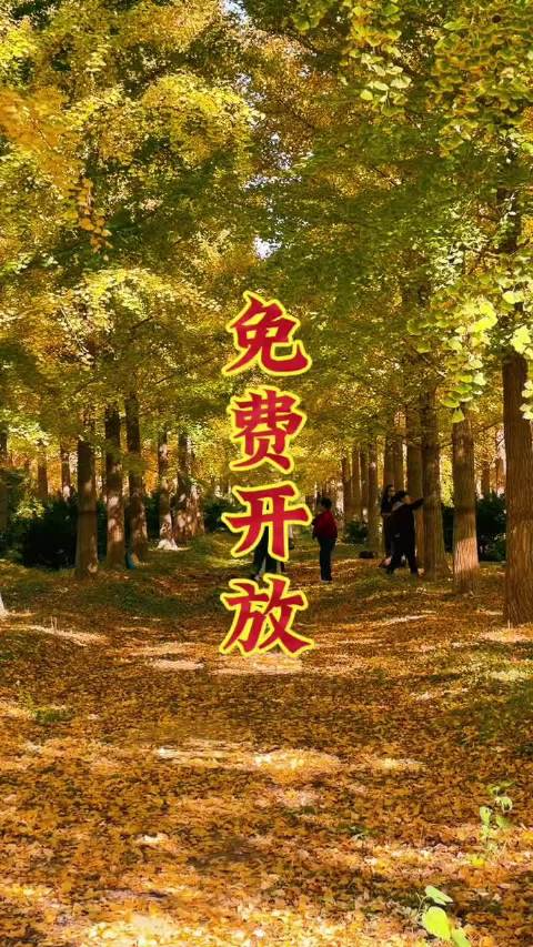 #大眼去旅行[超话]#  免费开放