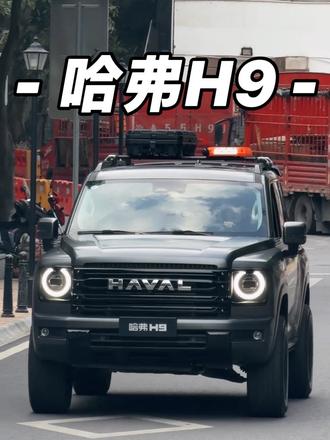 白天：哈哈哈.晚上：注定情海中颠簸