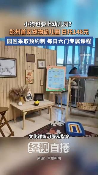 小狗也要上幼儿园？ 郑州首家宠物幼儿园 日托148元 园区采取预约制 每日六门专属课程