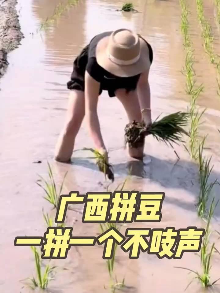 广西拼豆，一拼一个不吱声！
