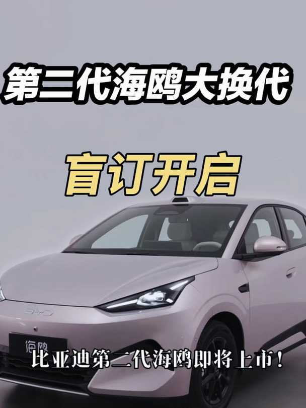 海鸥大换代盲订开启