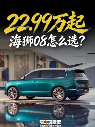 22.99万起，海狮08怎么选？