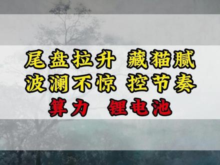尾盘拉升藏猫腻，波澜不惊控节奏！