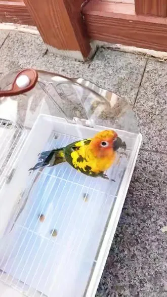 努力就有机会