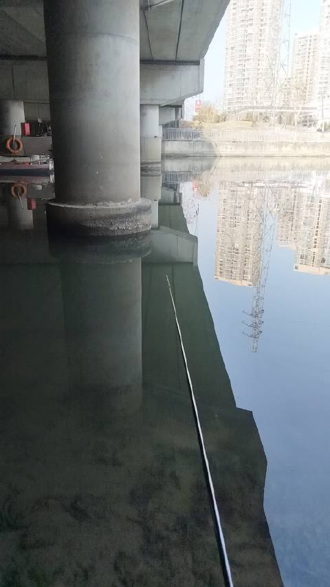 试一下，江苏无锡的鱼，冬口怎么样