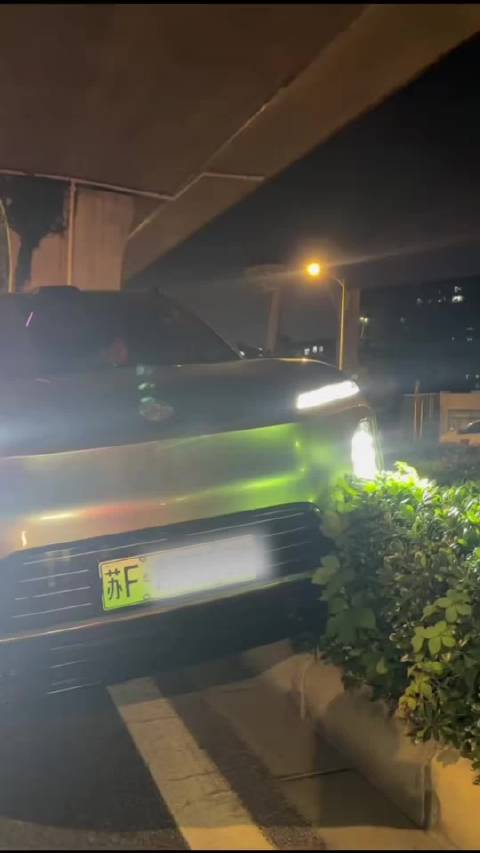 #南通爆料# 网友晒出行车记录仪视频：车辆开启智驾模式，行驶至江海大道高架下方路段时，车辆突然方向偏