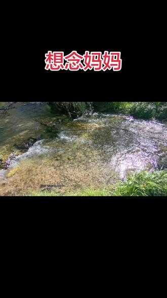 爸爸妈妈都不在了，只剩下我一个人了，世上无爸爸妈妈，变成孤儿了……