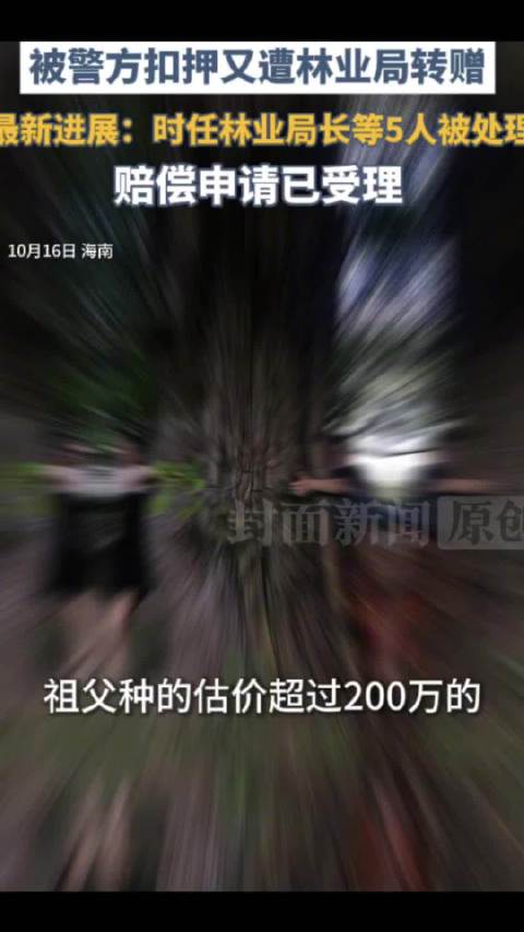 【#207万百年古树谎称枯死被转赠后续#：#百年古树被转赠原林业局长遭处理】