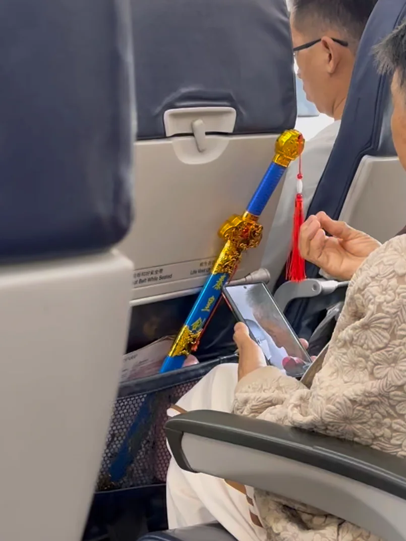 好厉害！这个阿姨秦皇🗡都带上✈️。。
