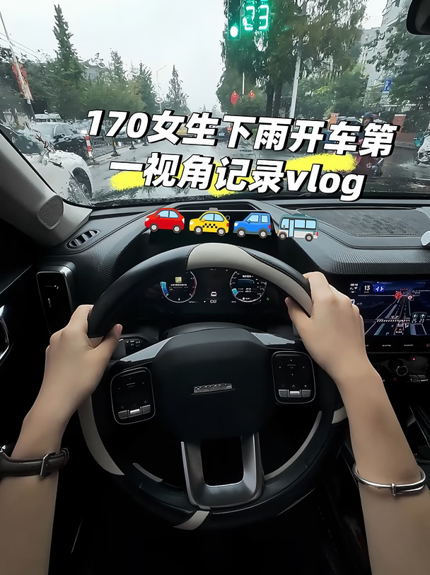 哈弗大狗第一视角vlog～
