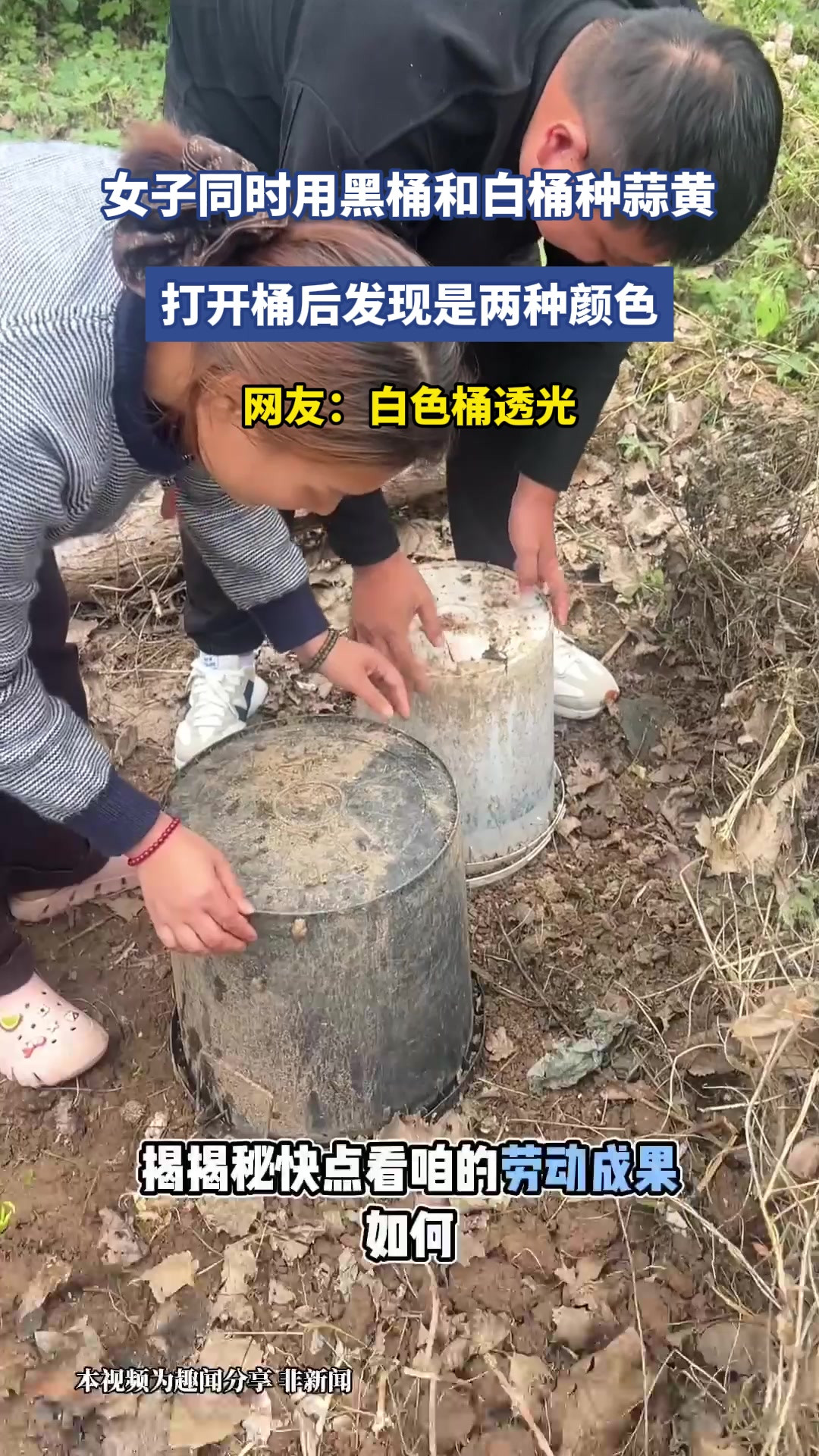 女子同时用黑桶和白桶种蒜黄，打开桶后发现是两种颜色，网友：白色桶透光