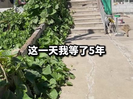 这一天 我等了5年...