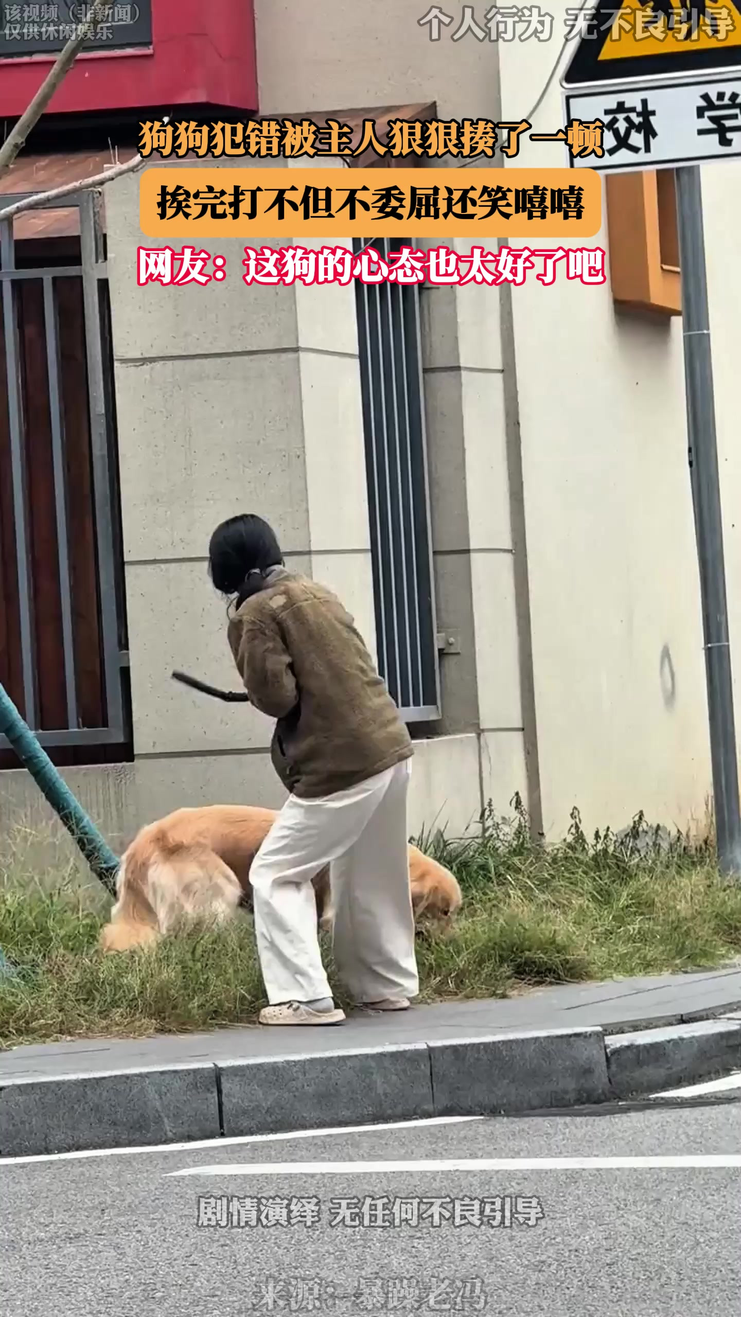 狗狗犯错被主人狠狠揍了一顿，挨完打不但不委屈还笑嘻嘻