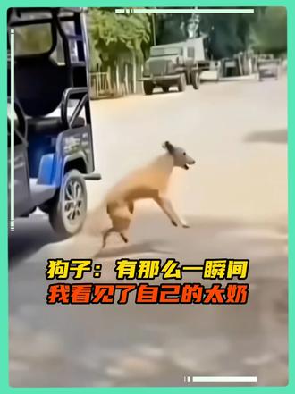 狗子：接下来这一口会很疯狂