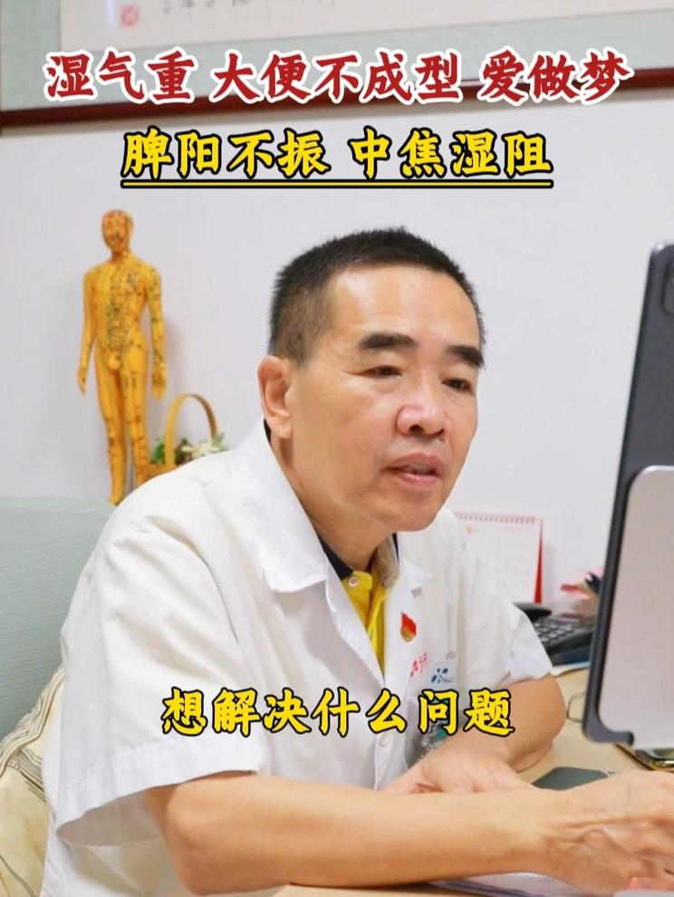湿气重 大便不成型 爱做梦，脾阳不振 中焦湿阻