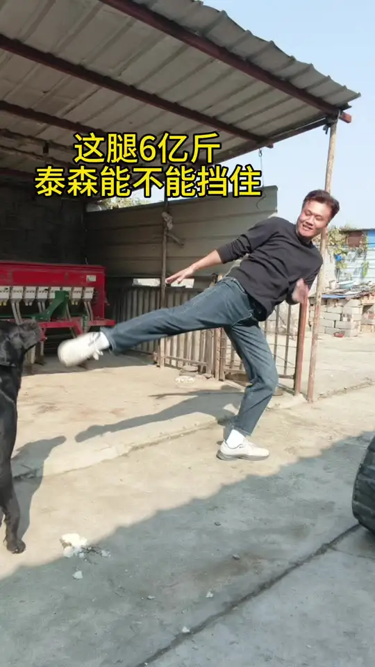这腿6亿斤，泰森能不能挡住