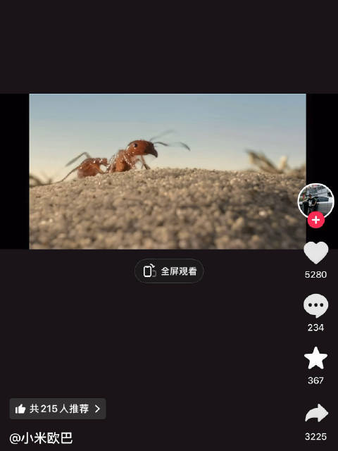 妈呀