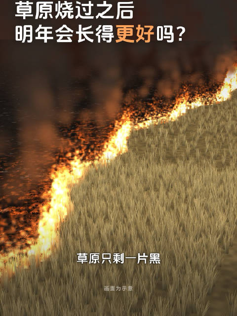#热点聚焦#  火线外，一大片草原烧黑了。明年春天，它会长得更好吗？草的大部 ​