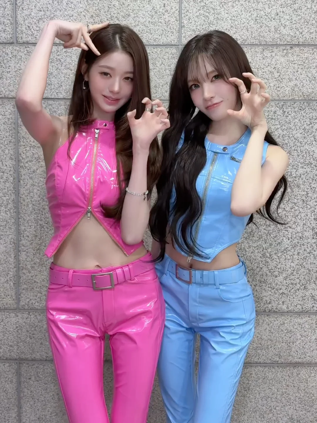 🐰🐱