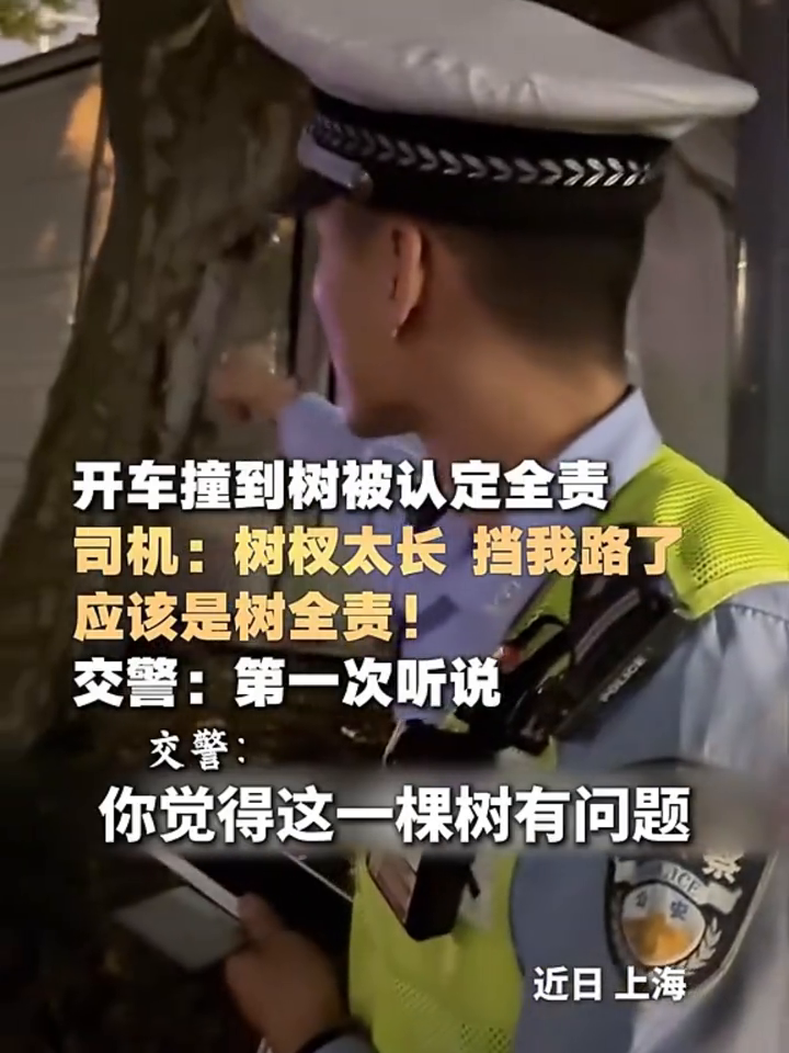 司机：树杈太长 ，挡我路了。树全责！交警：你全责！
