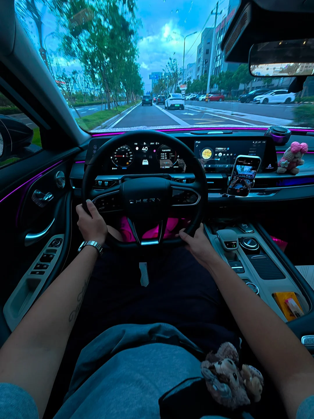 以后我开着车 你坐在副驾驶 车里放着我们喜欢的歌 买我们喜欢吃的菜一起回我们的回家这就是我想要的生活