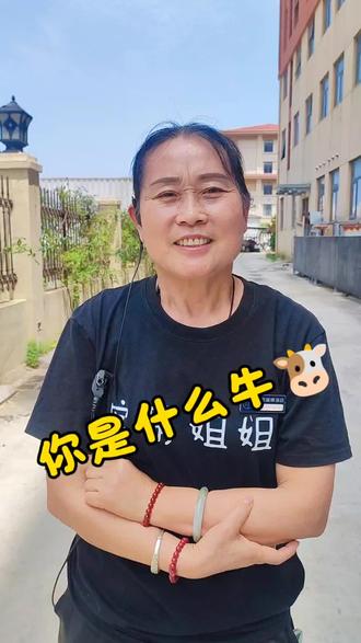 第二百四十七集：你是什么牛🐮
