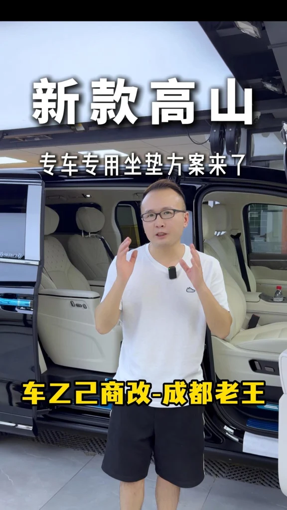 新款魏牌高山8智慧版坐垫可以装这款