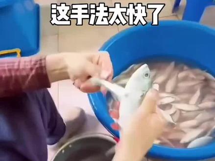 这手法太快了