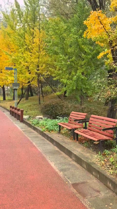 雨停后的跑道藏着看不见的湿意，每一步踩下去都滋滋作响，跑完六公里，袜子都湿了