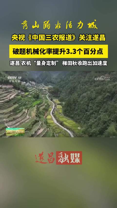 #浙江遂昌量身定制农机跑出秋收加速度#央视《中国三农报道》聚焦遂昌金竹镇，因地制宜研发适配巴掌田的定