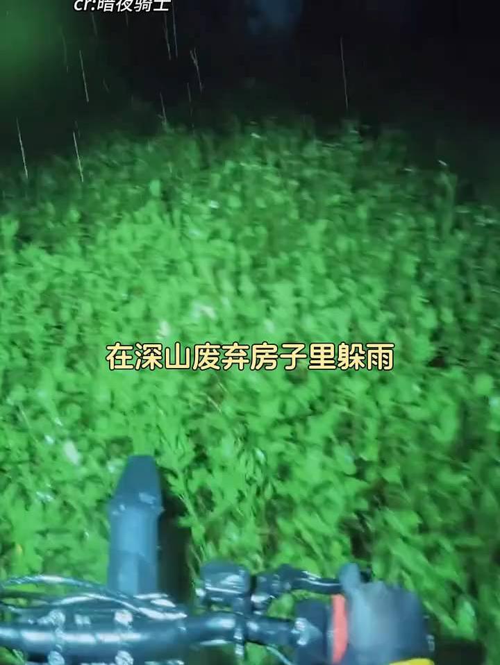 人怎么能胆大成这样
