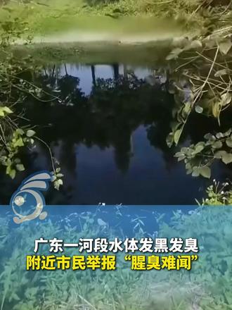 #媒体原创 广东一河段水体发黑发臭 附近市民举报“腥臭难闻”