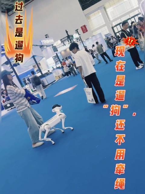 过去是遛狗！现在是遛“狗”，还不用牵绳！哈哈。#老白有料##实体机器人##具身智能##人工智能机器人