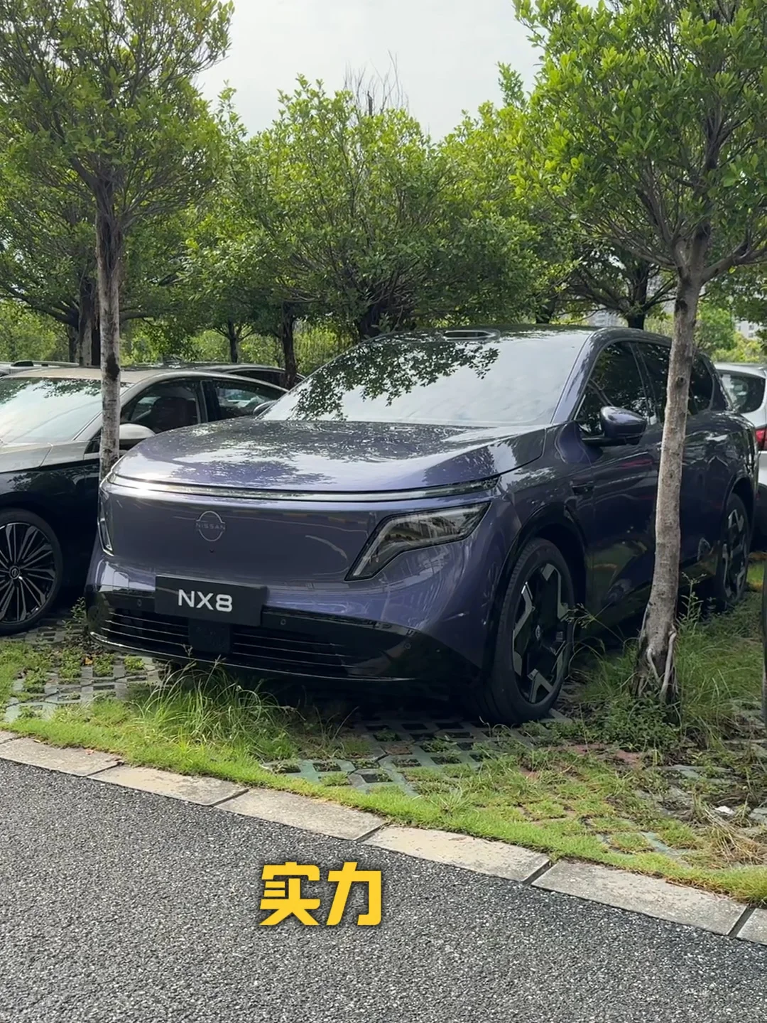 实测NX8！看它的智能辅助驾驶有多能打#性价比高的汽车  #创作者中心  #创作灵感  #东风日产N