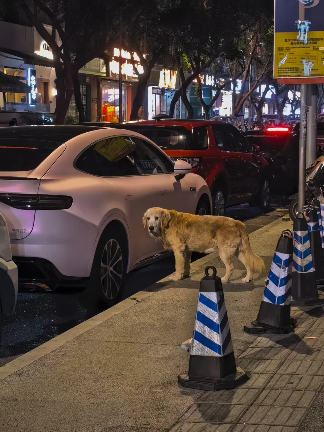 梦中情车