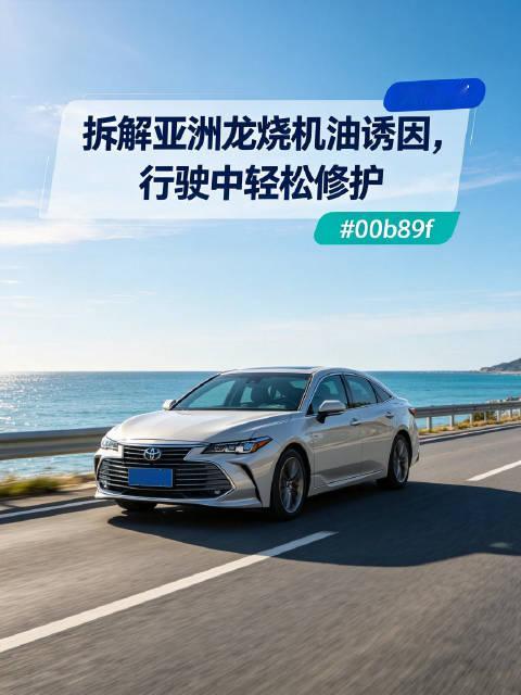 亚洲龙烧机油的主要诱因，经检查后往往是活塞环堵塞，导致机油参与燃烧。日常拥堵路况、燃油品质不佳易形成