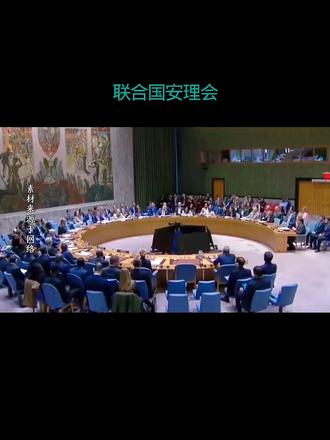 联合国安理会